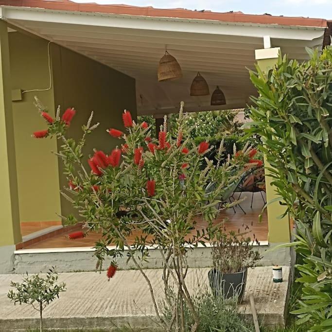 Mnf Country House Agios Georgios  Exterior foto